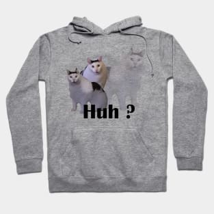 Huh Cat Meme Hoodie